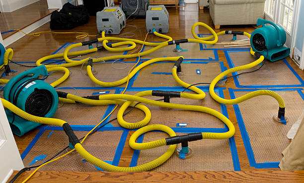 Professional Water Extraction technician working in Collins, OH