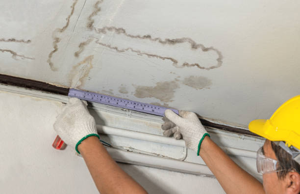 Affordable Water Damage Repair solutions in Collins, OH